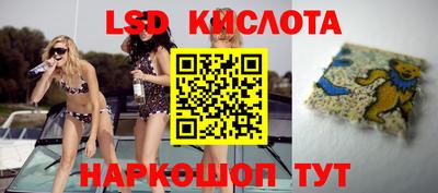 ГАЛЛЮЦИНОГЕННЫЕ ГРИБЫ Северобайкальск