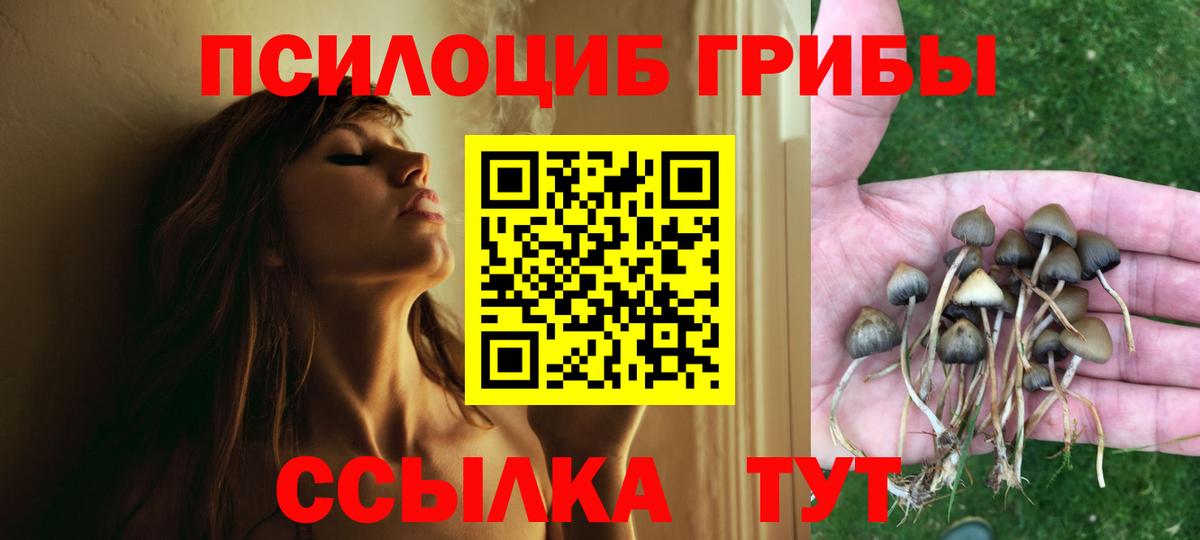 Псилоцибиновые грибы Magic Shrooms Обь