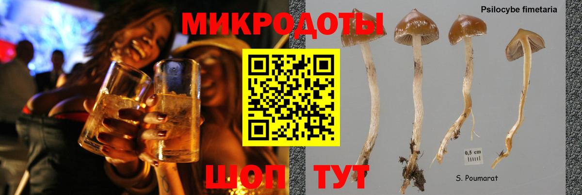 Обь  Галлюциногенные грибы прущие грибы  цена   Вход с VPN 